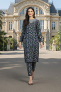 Embroidered - 2 Pc Slub Karandi Suit